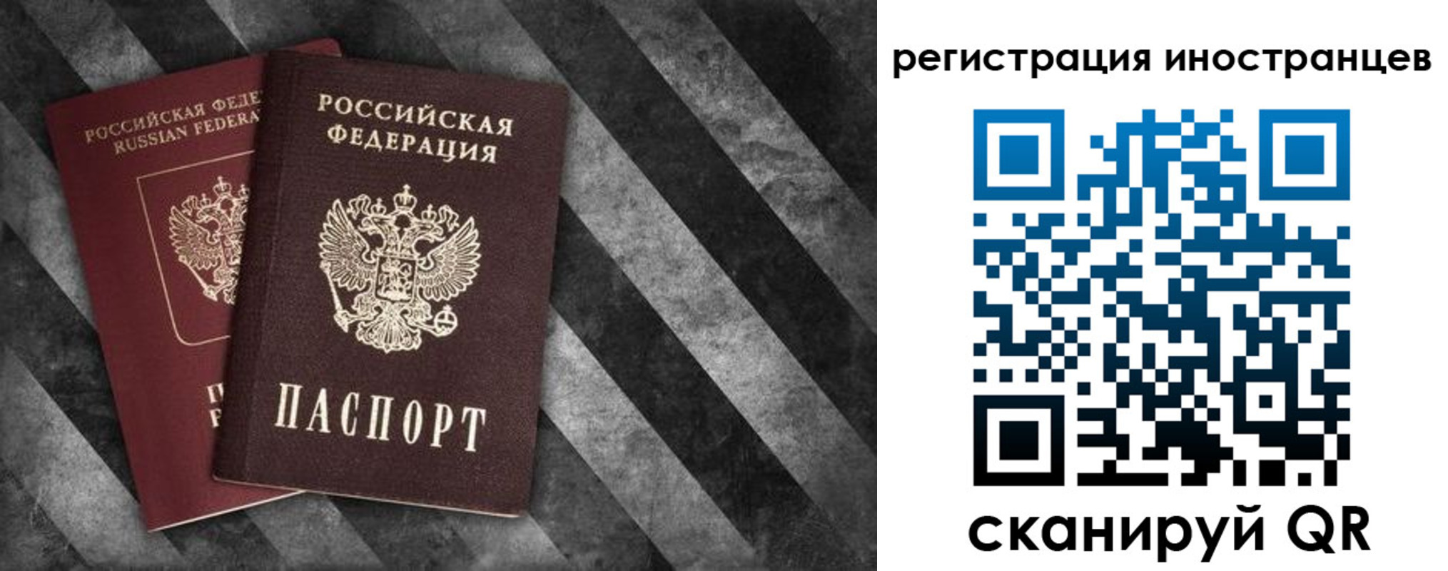 прописка для школы в Ногинске